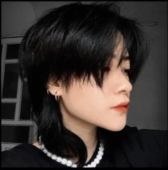 korean wolf cut mullet male