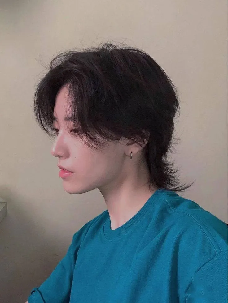 korean wolf cut mullet male