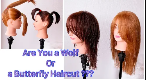 Wolf Cut Vs Butterfly Cut