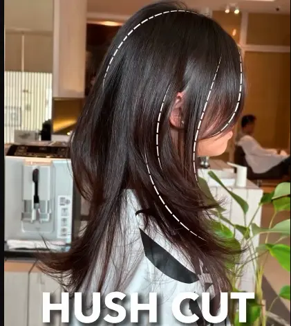 hush cut