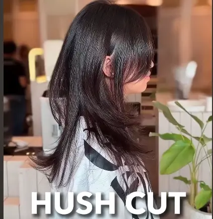 hush cut