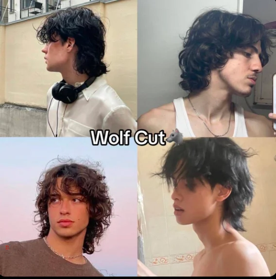 wolf cut curly hair male
