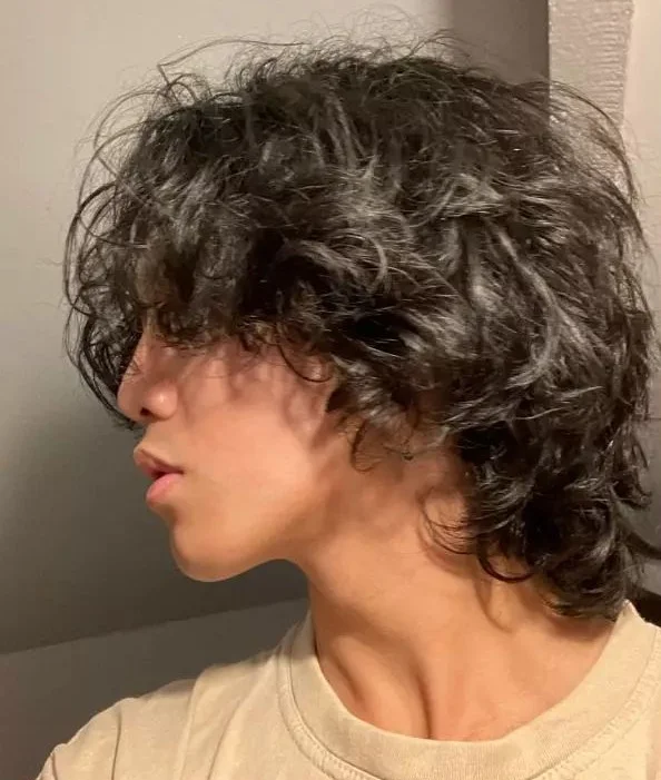 wolf cut curly hair men